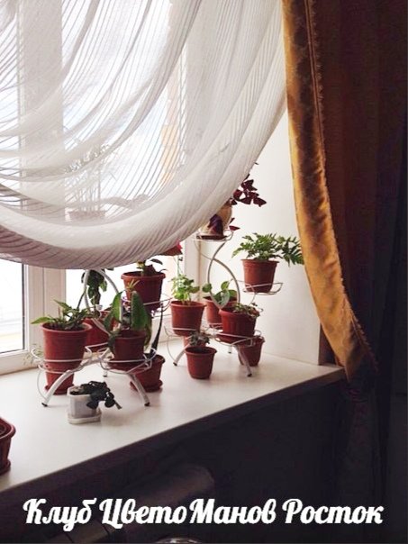 Подставка для цветов металлическая наоконная. Фото N9